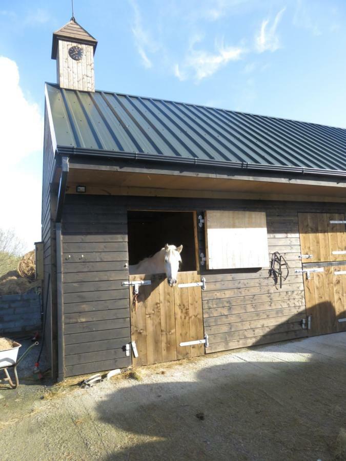 Bunkhouse - Letterfrack Farm Villa Exterior photo